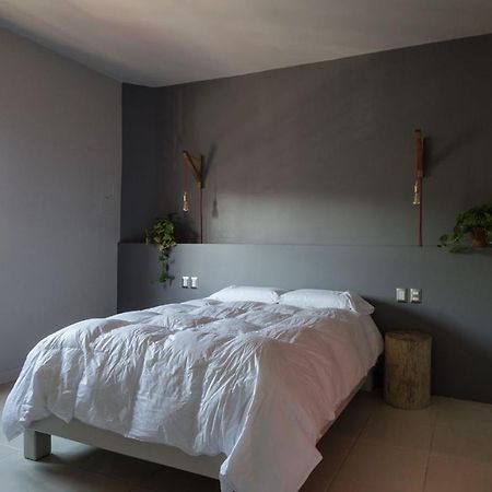 Comala Bed & Breakfast オアハカ州 エクステリア 写真